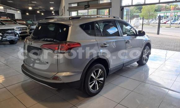 اشتري مستعمل Toyota RAV4 Black سيارة في Maseru في Maseru اشتري مستعمل Toyota RAV4 Black سيارة في Maseru في Maseru