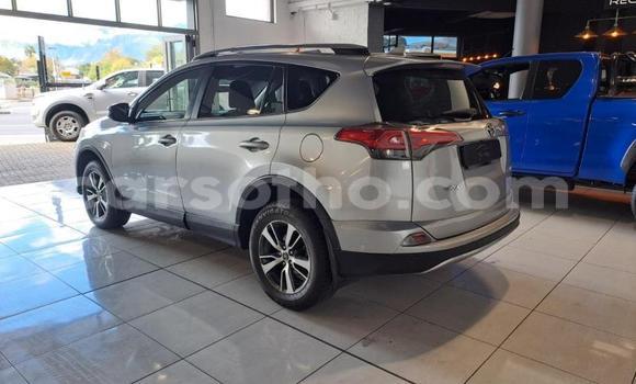 اشتري مستعمل Toyota RAV4 Black سيارة في Maseru في Maseru اشتري مستعمل Toyota RAV4 Black سيارة في Maseru في Maseru