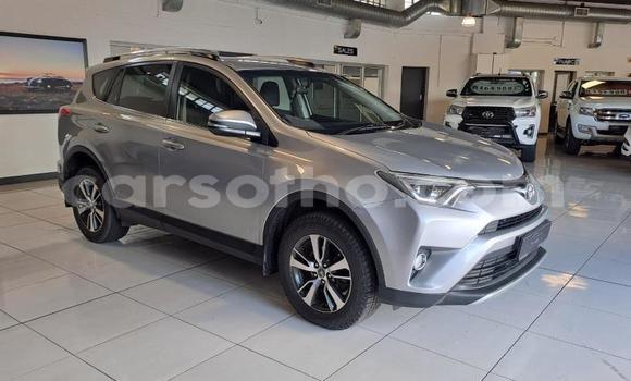 اشتري مستعمل Toyota RAV4 Black سيارة في Maseru في Maseru اشتري مستعمل Toyota RAV4 Black سيارة في Maseru في Maseru