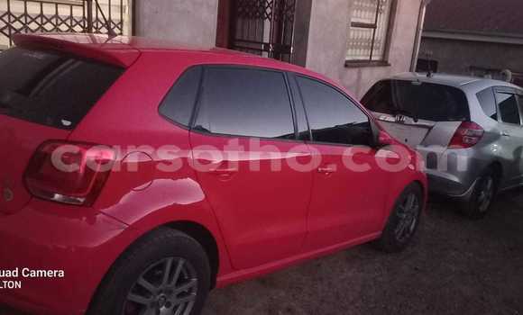 اشتري مستعمل Volkswagen Polo Red سيارة في Hlotse في Leribe اشتري مستعمل Volkswagen Polo Red سيارة في Hlotse في Leribe