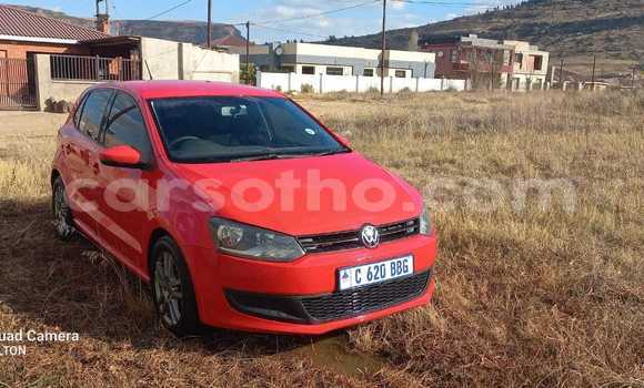 اشتري مستعمل Volkswagen Polo Red سيارة في Hlotse في Leribe اشتري مستعمل Volkswagen Polo Red سيارة في Hlotse في Leribe