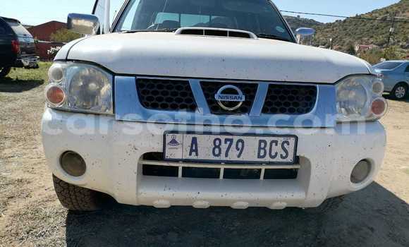 Acheter Occasion Voiture Nissan NP 300 Blanc à Hlotse, Leribe Acheter Occasion Voiture Nissan NP 300 Blanc à Hlotse, Leribe