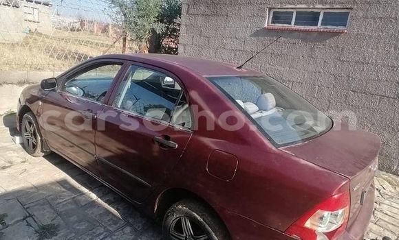 Sayi Na hannu Toyota Corolla Red Mota in Butha Buthe a Butha-Buthe Sayi Na hannu Toyota Corolla Red Mota in Butha Buthe a Butha-Buthe