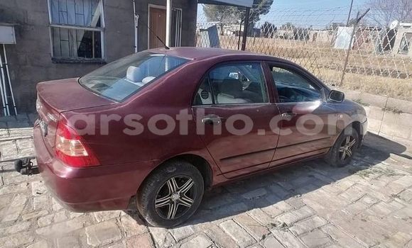 Sayi Na hannu Toyota Corolla Red Mota in Butha Buthe a Butha-Buthe Sayi Na hannu Toyota Corolla Red Mota in Butha Buthe a Butha-Buthe