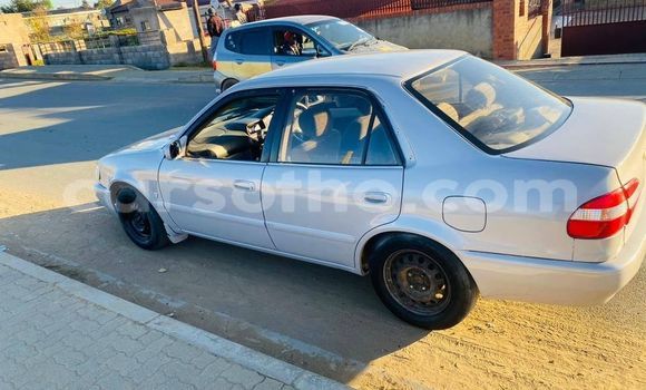 Sayi Na hannu Toyota Sai White Mota in Mafeteng a Mafeteng Sayi Na hannu Toyota Sai White Mota in Mafeteng a Mafeteng