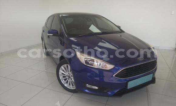 Buy Used Ford Focus Blue Car in Maseru in Maseru Buy Used Ford Focus Blue Car in Maseru in Maseru