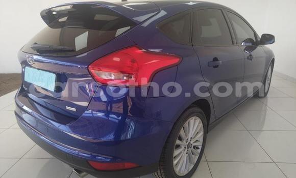 Buy Used Ford Focus Blue Car in Maseru in Maseru Buy Used Ford Focus Blue Car in Maseru in Maseru