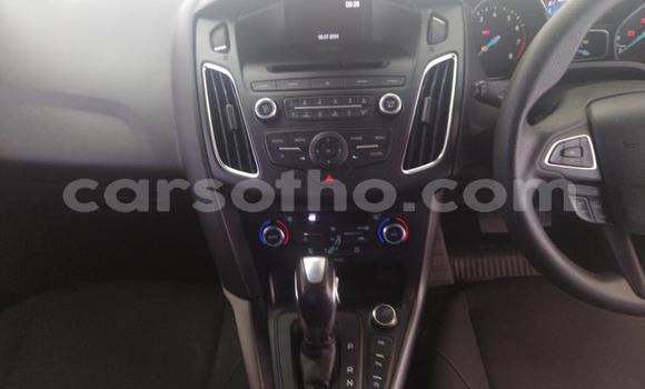 Buy Used Ford Focus Blue Car in Maseru in Maseru Buy Used Ford Focus Blue Car in Maseru in Maseru