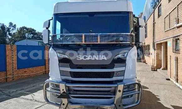 Acheter Occasion Utilitaire Scania R420 Blanc à Maseru, Maseru