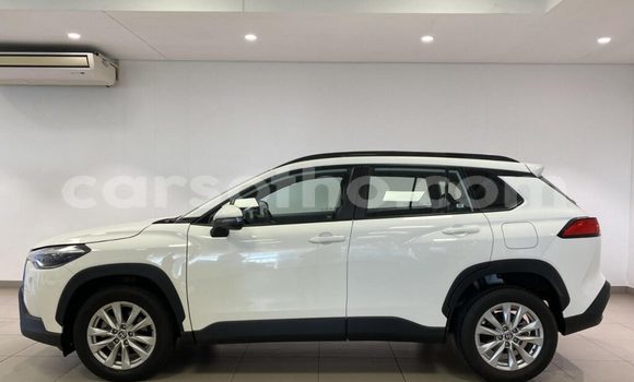 اشتري مستعمل Toyota Corolla Cross White سيارة في Hlotse في Leribe اشتري مستعمل Toyota Corolla Cross White سيارة في Hlotse في Leribe