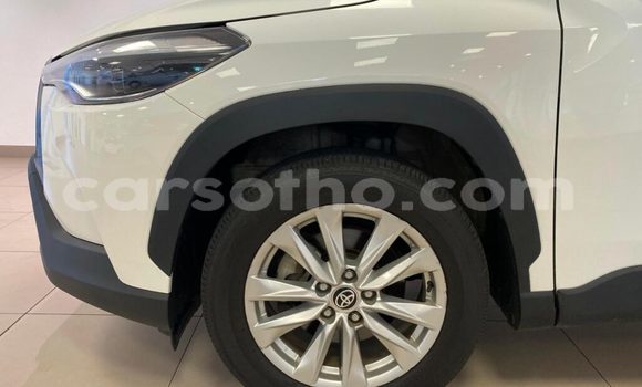 اشتري مستعمل Toyota Corolla Cross White سيارة في Hlotse في Leribe اشتري مستعمل Toyota Corolla Cross White سيارة في Hlotse في Leribe