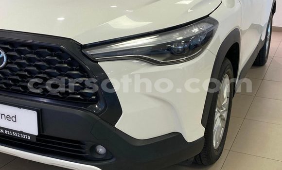 اشتري مستعمل Toyota Corolla Cross White سيارة في Hlotse في Leribe اشتري مستعمل Toyota Corolla Cross White سيارة في Hlotse في Leribe