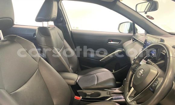 Acheter Occasion Voiture Toyota Corolla Cross Blanc à Mafeteng, Mafeteng Acheter Occasion Voiture Toyota Corolla Cross Blanc à Mafeteng, Mafeteng