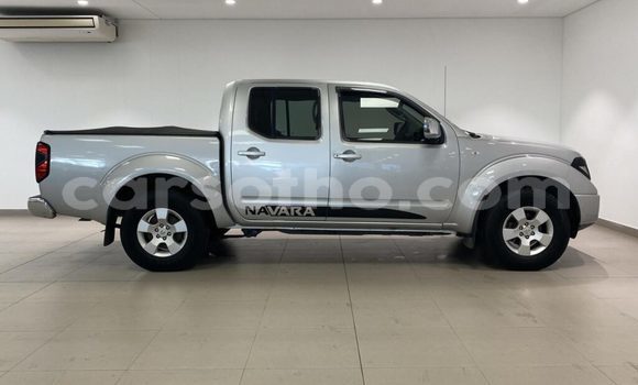 اشتري مستعمل Nissan Navara Silver سيارة في Hlotse في Leribe اشتري مستعمل Nissan Navara Silver سيارة في Hlotse في Leribe