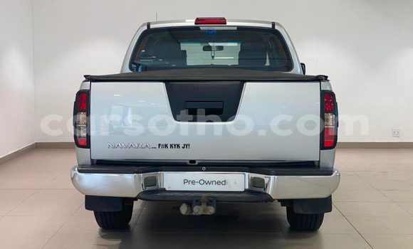 اشتري مستعمل Nissan Navara Silver سيارة في Hlotse في Leribe اشتري مستعمل Nissan Navara Silver سيارة في Hlotse في Leribe