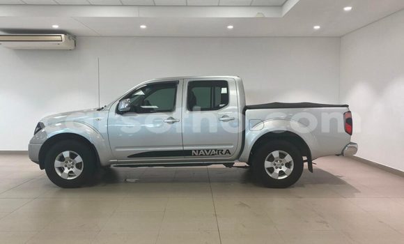 اشتري مستعمل Nissan Navara Silver سيارة في Hlotse في Leribe اشتري مستعمل Nissan Navara Silver سيارة في Hlotse في Leribe