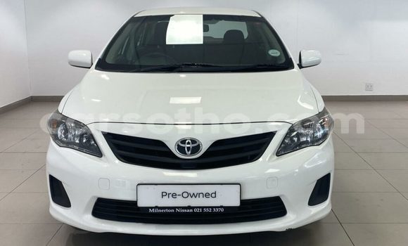 اشتري مستعمل Toyota Corolla White سيارة في Hlotse في Leribe اشتري مستعمل Toyota Corolla White سيارة في Hlotse في Leribe