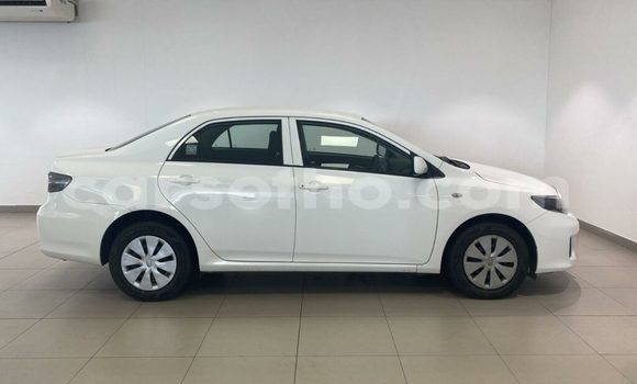 اشتري مستعمل Toyota Corolla White سيارة في Hlotse في Leribe اشتري مستعمل Toyota Corolla White سيارة في Hlotse في Leribe