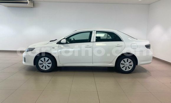 اشتري مستعمل Toyota Corolla White سيارة في Hlotse في Leribe اشتري مستعمل Toyota Corolla White سيارة في Hlotse في Leribe