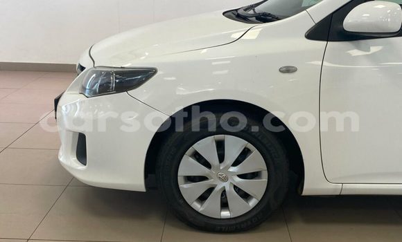 اشتري مستعمل Toyota Corolla White سيارة في Hlotse في Leribe اشتري مستعمل Toyota Corolla White سيارة في Hlotse في Leribe