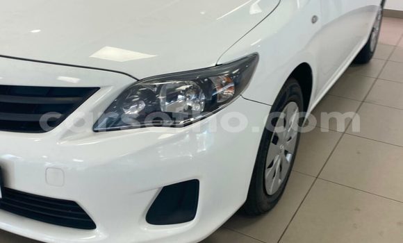 اشتري مستعمل Toyota Corolla White سيارة في Hlotse في Leribe اشتري مستعمل Toyota Corolla White سيارة في Hlotse في Leribe