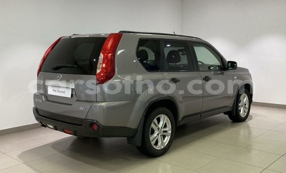 اشتري مستعمل Nissan X–Trail Silver سيارة في Hlotse في Leribe اشتري مستعمل Nissan X–Trail Silver سيارة في Hlotse في Leribe