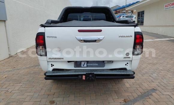 Buy Used Toyota Hilux White Car in Maseru in Maseru Buy Used Toyota Hilux White Car in Maseru in Maseru
