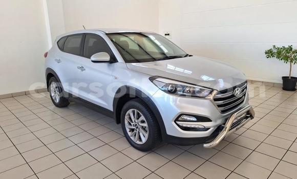 اشتري مستعمل Hyundai Tucson Silver سيارة في Maseru في Maseru اشتري مستعمل Hyundai Tucson Silver سيارة في Maseru في Maseru