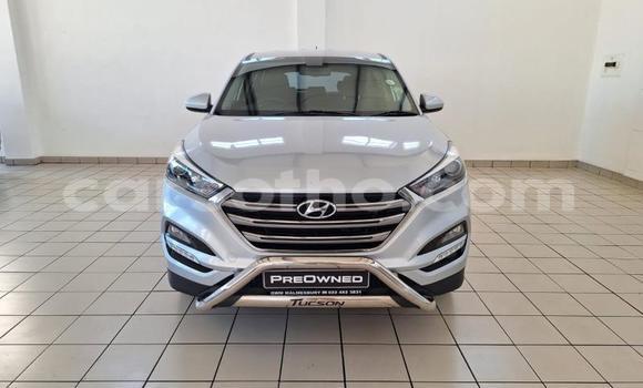 Buy Used Hyundai Tucson Silver Car in Maseru in Maseru Buy Used Hyundai Tucson Silver Car in Maseru in Maseru
