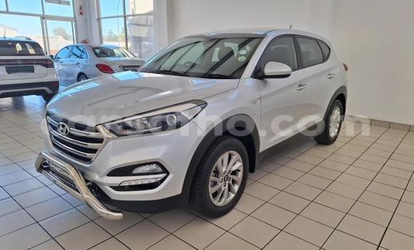 Buy Used Hyundai Tucson Silver Car in Maseru in Maseru Buy Used Hyundai Tucson Silver Car in Maseru in Maseru
