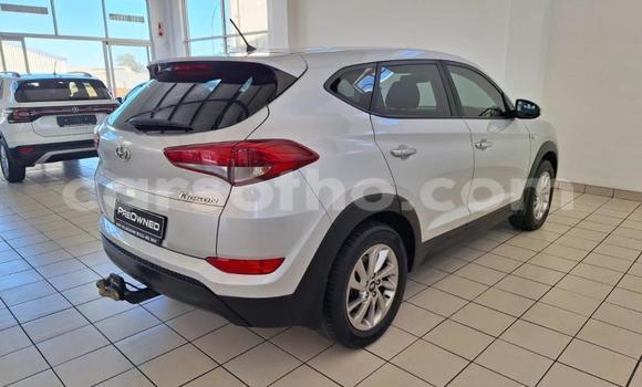 Buy Used Hyundai Tucson Silver Car in Maseru in Maseru Buy Used Hyundai Tucson Silver Car in Maseru in Maseru
