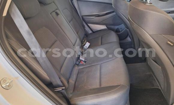Buy Used Hyundai Tucson Silver Car in Maseru in Maseru Buy Used Hyundai Tucson Silver Car in Maseru in Maseru