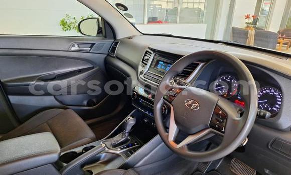 Buy Used Hyundai Tucson Silver Car in Maseru in Maseru Buy Used Hyundai Tucson Silver Car in Maseru in Maseru