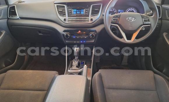 Buy Used Hyundai Tucson Silver Car in Maseru in Maseru Buy Used Hyundai Tucson Silver Car in Maseru in Maseru
