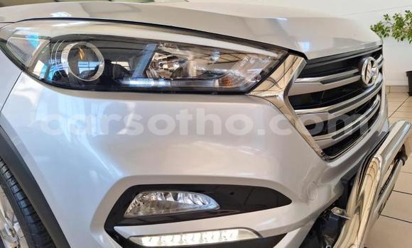 Buy Used Hyundai Tucson Silver Car in Maseru in Maseru Buy Used Hyundai Tucson Silver Car in Maseru in Maseru