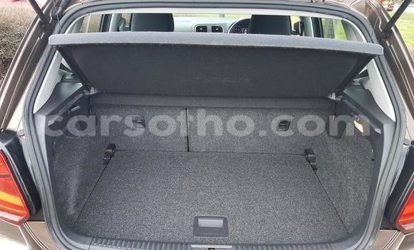 Buy Used Volkswagen Polo Brown Car in Hlotse in Leribe Buy Used Volkswagen Polo Brown Car in Hlotse in Leribe