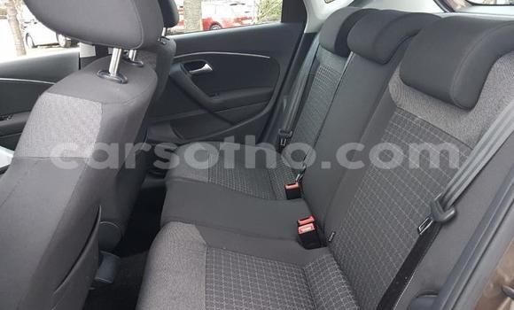 Buy Used Volkswagen Polo Brown Car in Hlotse in Leribe Buy Used Volkswagen Polo Brown Car in Hlotse in Leribe