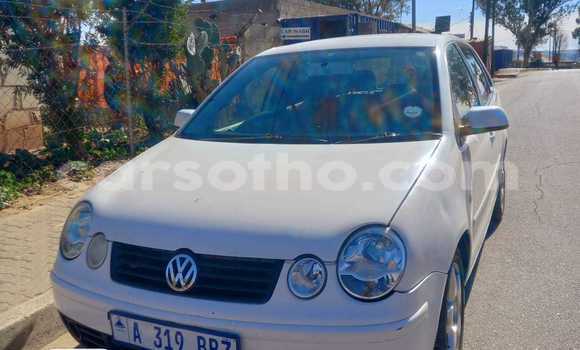 Acheter Occasion Voiture Volkswagen Polo Blanc à Hlotse, Leribe Acheter Occasion Voiture Volkswagen Polo Blanc à Hlotse, Leribe