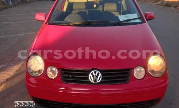 اشتري مستعمل Volkswagen Polo Red سيارة في Maputsoa في Leribe اشتري مستعمل Volkswagen Polo Red سيارة في Maputsoa في Leribe