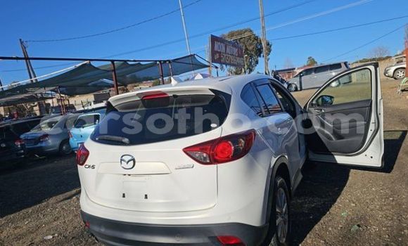 Buy Used Hyundai Accent Other Car in Maseru in Maseru