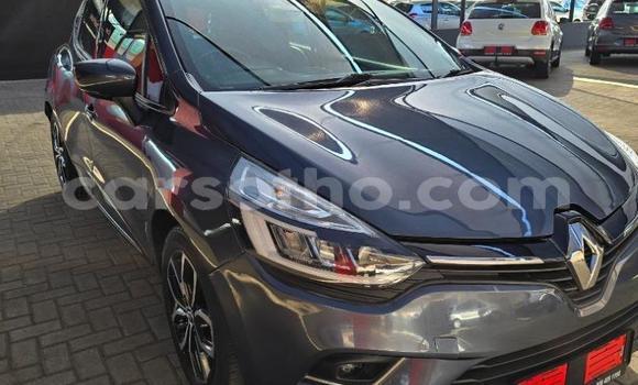 Acheter Occasion Voiture Renault Clio Autre à Maseru, Maseru Acheter Occasion Voiture Renault Clio Autre à Maseru, Maseru