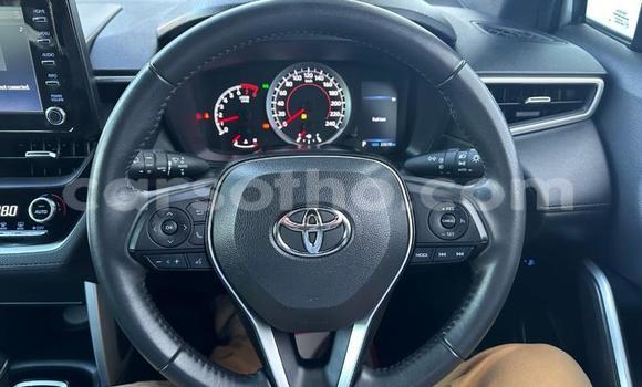 اشتري مستعمل Toyota Corolla Cross Silver سيارة في Maseru في Maseru اشتري مستعمل Toyota Corolla Cross Silver سيارة في Maseru في Maseru