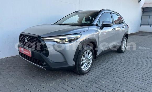 اشتري مستعمل Toyota Corolla Cross Silver سيارة في Maseru في Maseru اشتري مستعمل Toyota Corolla Cross Silver سيارة في Maseru في Maseru