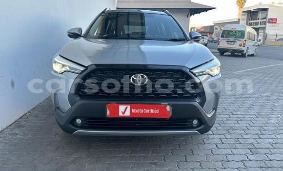اشتري مستعمل Toyota Corolla Cross Silver سيارة في Maseru في Maseru اشتري مستعمل Toyota Corolla Cross Silver سيارة في Maseru في Maseru