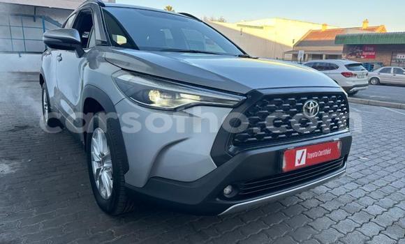 اشتري مستعمل Toyota Corolla Cross Silver سيارة في Maseru في Maseru اشتري مستعمل Toyota Corolla Cross Silver سيارة في Maseru في Maseru