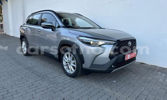 اشتري مستعمل Toyota Corolla Cross Silver سيارة في Maseru في Maseru اشتري مستعمل Toyota Corolla Cross Silver سيارة في Maseru في Maseru