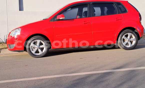 Buy Used Volkswagen Polo Red Car in Mafeteng in Mafeteng Buy Used Volkswagen Polo Red Car in Mafeteng in Mafeteng