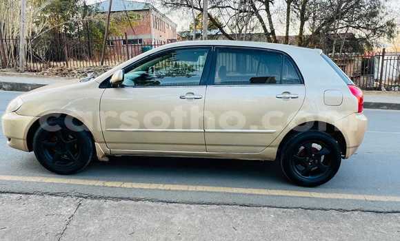 Sayi Na hannu Toyota Runx Other Mota in Butha–Buthe a Thaba-Tseka