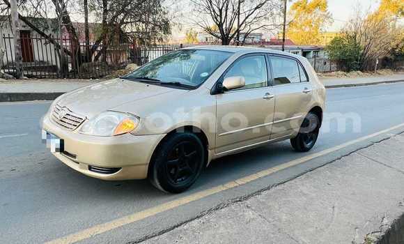 Buy Used Toyota Runx Other Car in Butha–Buthe in Thaba-Tseka Buy Used Toyota Runx Other Car in Butha–Buthe in Thaba-Tseka