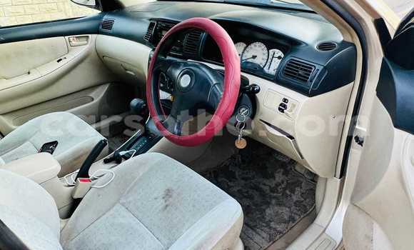 Buy Used Toyota Runx Other Car in Butha–Buthe in Thaba-Tseka Buy Used Toyota Runx Other Car in Butha–Buthe in Thaba-Tseka